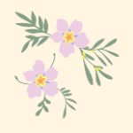 vert basil et violet